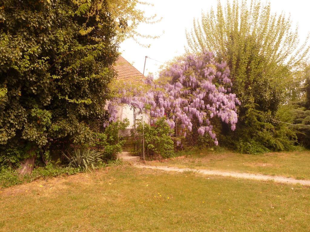 Dobo Tanya Villa Roszke Екстериор снимка