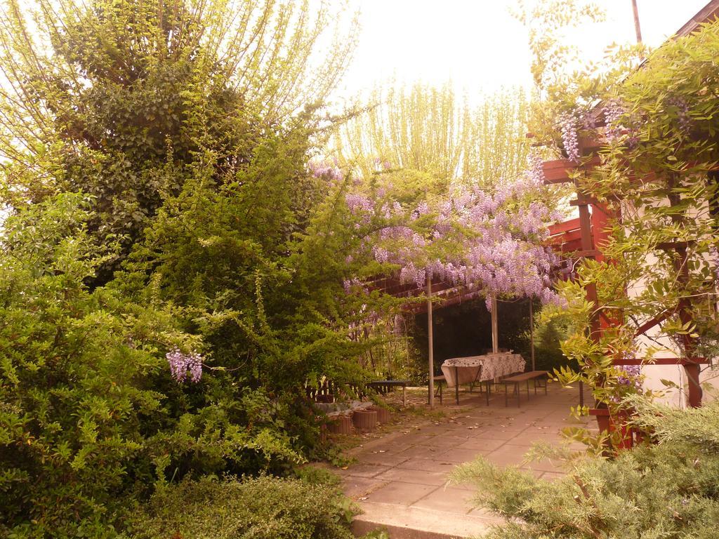 Dobo Tanya Villa Roszke Екстериор снимка