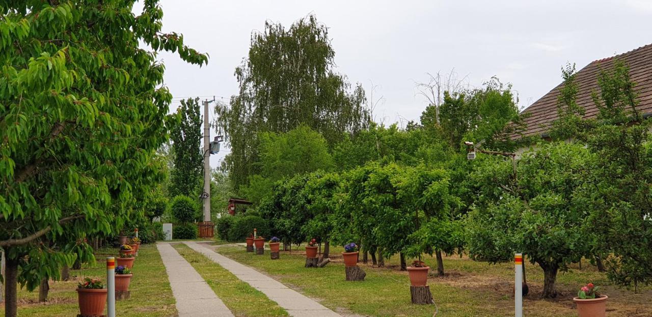 Dobo Tanya Villa Roszke Екстериор снимка