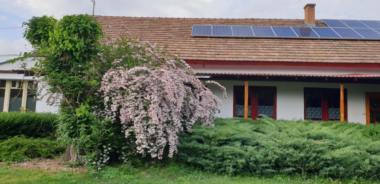Dobo Tanya Villa Roszke Екстериор снимка